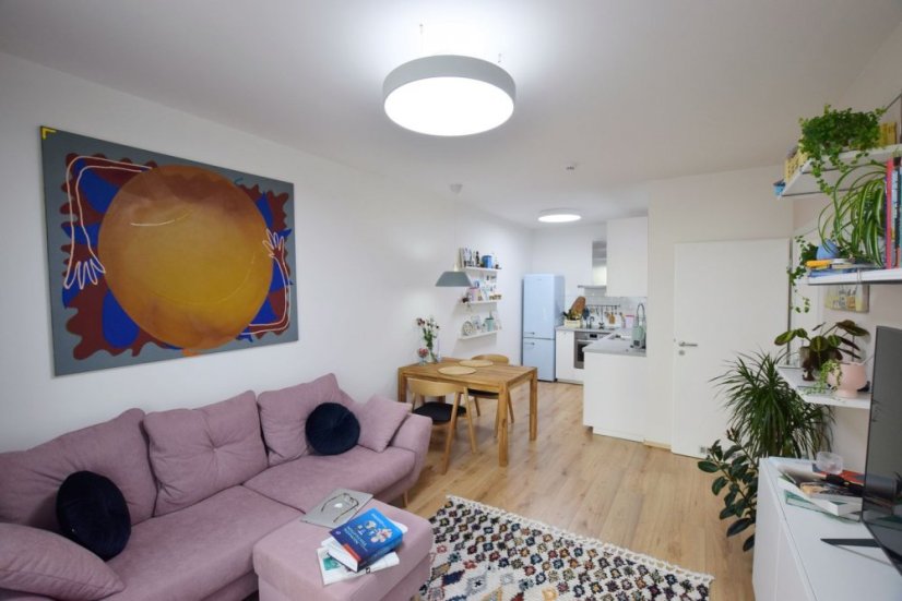 Amica LED - Stříbrná Elox - Výkon: 19 W, Světelný tok: 1420 lm, Rozměry: 400 x 70 mm, Průměr: 410 mm