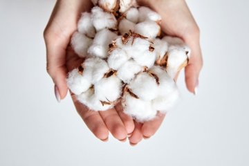 Menstruace a organická bavlna - sázka na jistotu